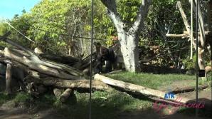 Kallie Taylor La Jolla Part 3